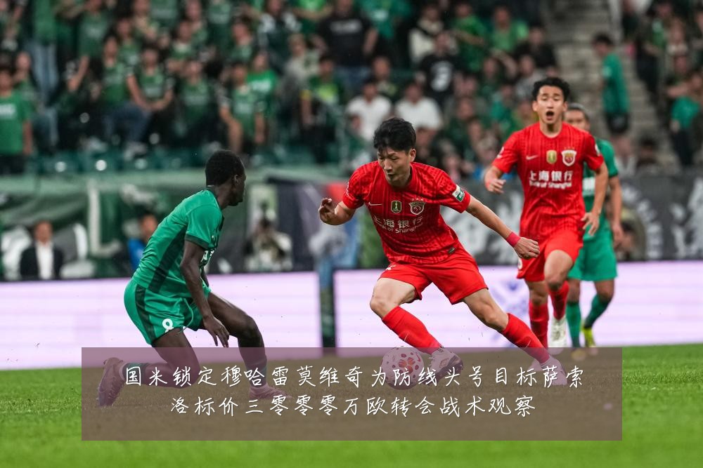 国米锁定穆哈雷莫维奇为防线头号目标萨索洛标价三零零零万欧转会战术观察