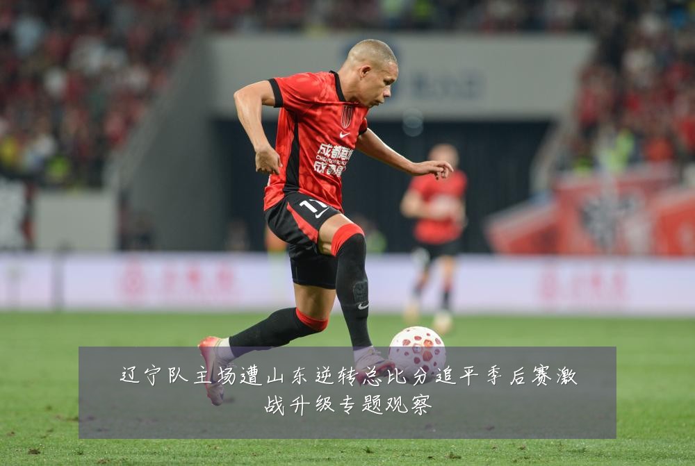 辽宁队主场遭山东逆转总比分追平季后赛激战升级专题观察